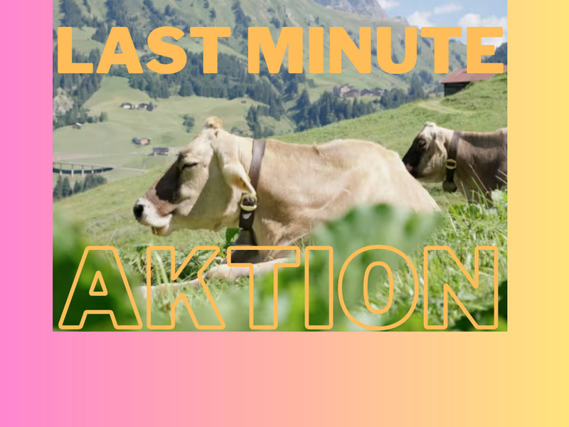 Last Minute Aktion