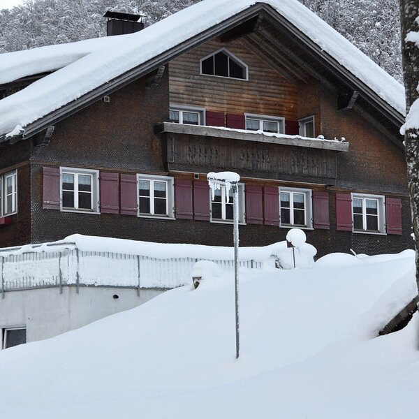 Hirschau im Winter