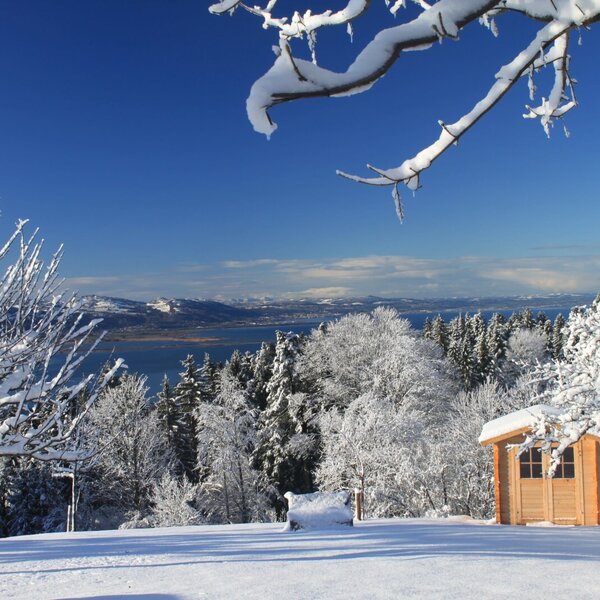 Blick auf den Bodensee