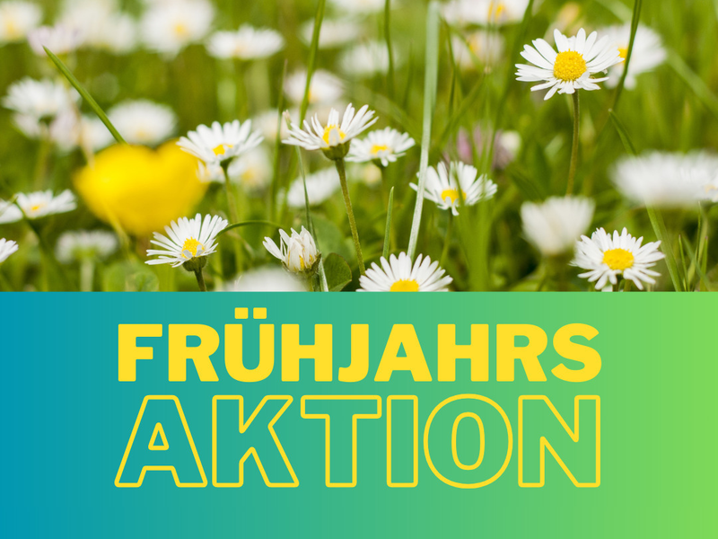 Frühjahrs Aktion