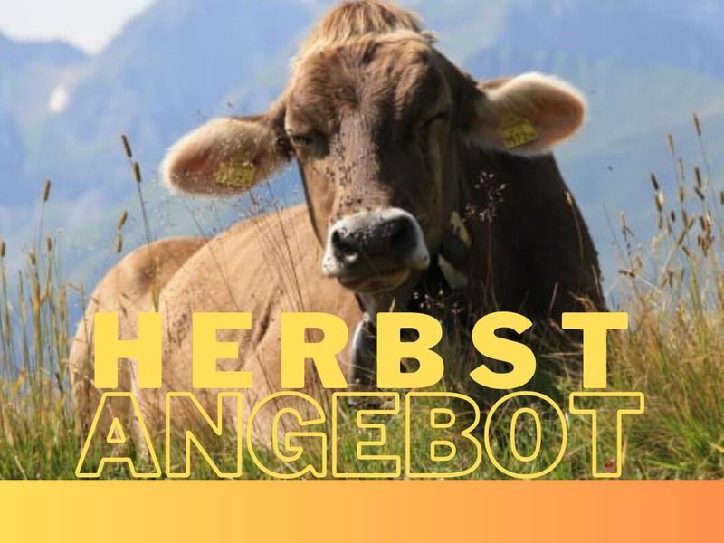 Herbst Angebot