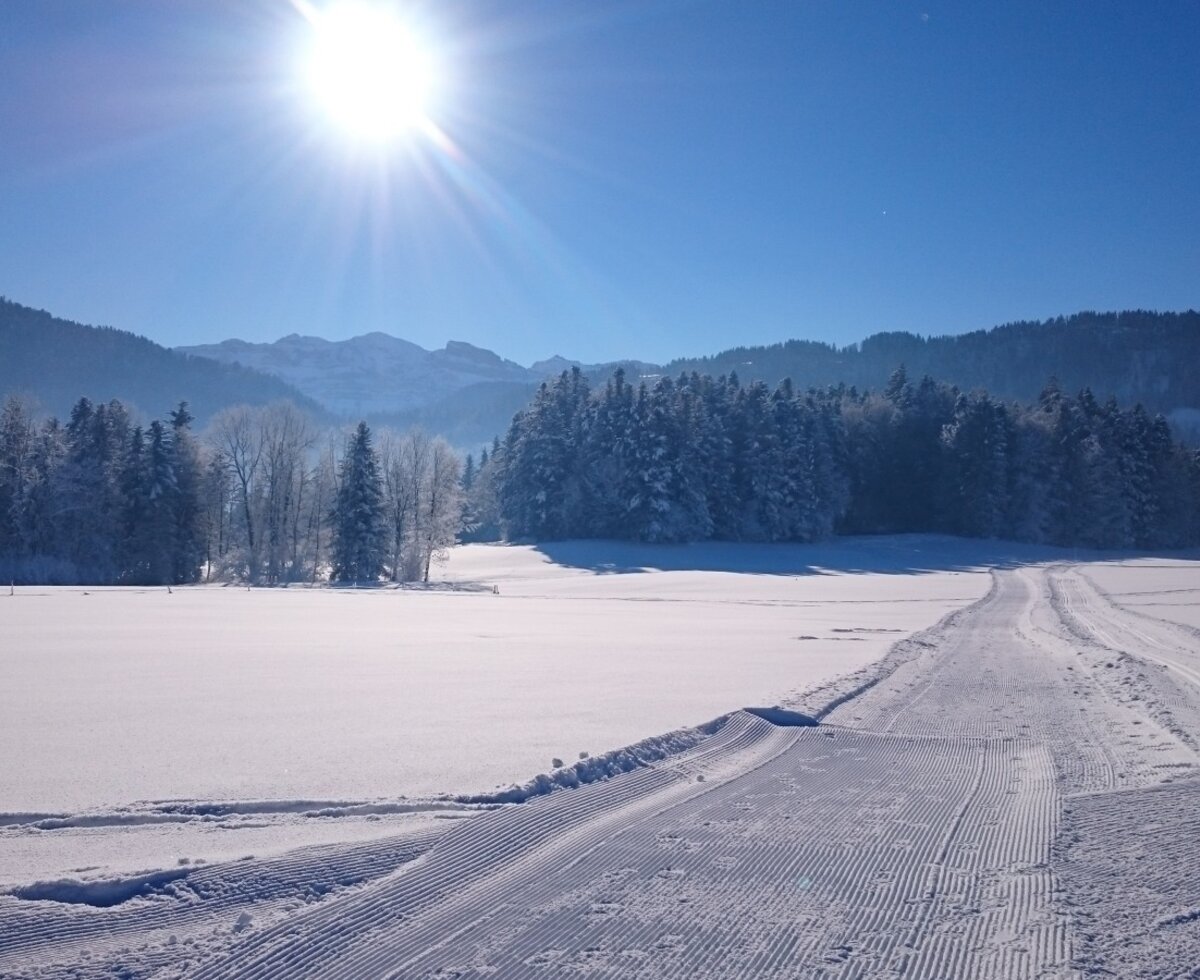 Sonnige Winterlandschaft mit einer präparierten Langlaufloipe, umgeben von schneebedeckten Wäldern und Bergen in der Umgebung des Bauernhofs.