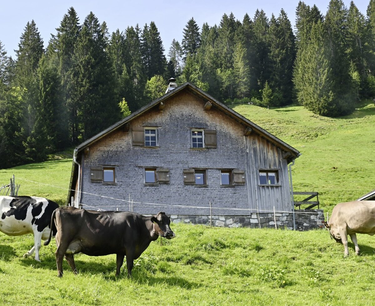 Hütte
