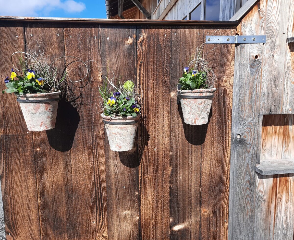 Drei Terrakottatöpfe mit Stiefmütterchen und Dekoration an einer Holzwand des Bauernhofs.
