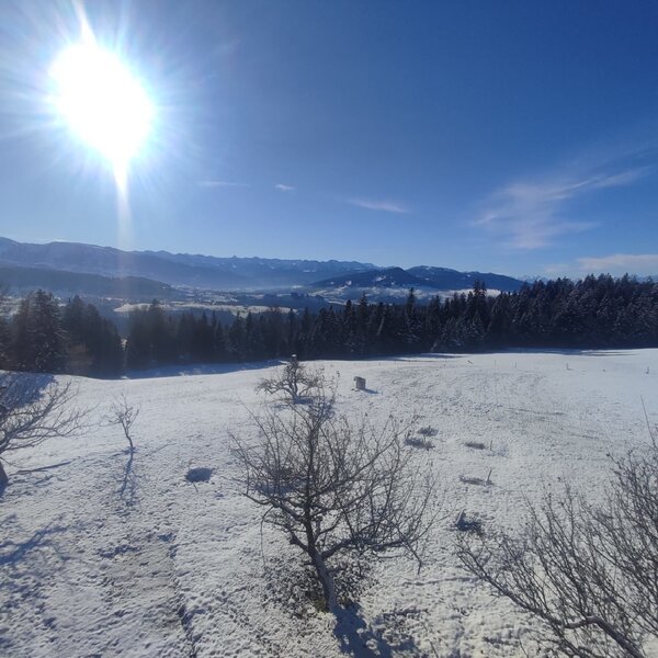 Klare Winterluft und verschneite Berge - direkt vor unserer Haustüre! Klare Winterluft und verschneite Berge - direkt vor unserer Haustüre!