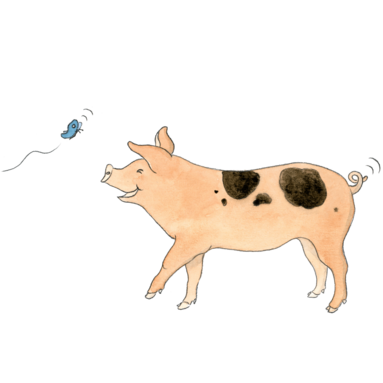 Schwein Rosa
