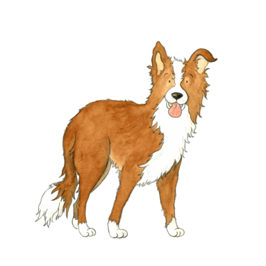 Hund Max
