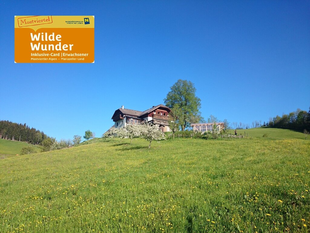 BIO-Bauernhof Kurzeck in Göstling an der Ybbs, Austria